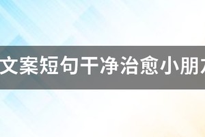 少儿篮球训练视频文案